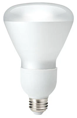 Globe Electric 71052 15W 120V Compact Fluorescent Flood Light Bulb Soft White