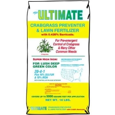 DEWALT Extended Performance 10 In. Continuous Rim Dry/Wet Cut Tile Diamond Blade