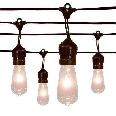 String Light Set, 20 Edison Drop Bulbs