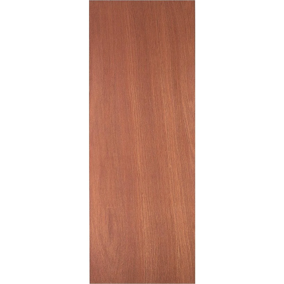 Masonite 26 In. W. x 80 In. H. Lauan Wood Interior Hollow Core Door Slab