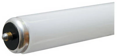 Fluorescent Tube, Cool White, 60-Watts, 8-Ft.