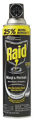 Raid Wasp/Hornet Spray 51367