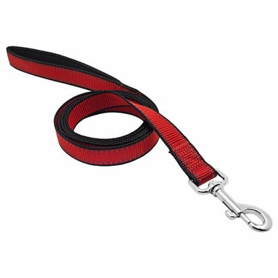 Nylon Reflective Dog Leash, Black/red, 1-inch X 6-feet