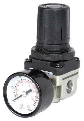 Mini Airline Regulator With Gauge, 1/4-In. FNPT
