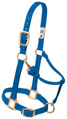 NYLON HALTER ORIG 1" SM BLUE