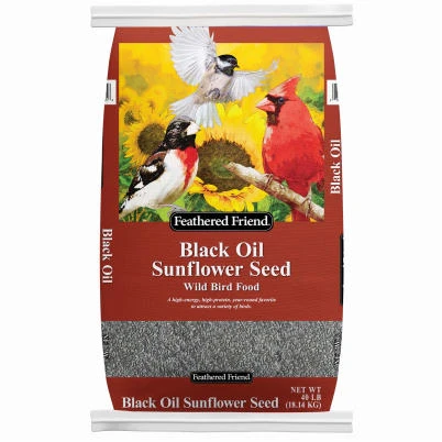 FOOD BIRD SNFLWR BLK OIL 40LB