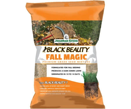 Grass Seed B/B Fall Magic 25# Black Beauty