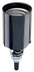 Pass & Seymour Incandescent Candle Socket, 660-Watt, 250-Volt