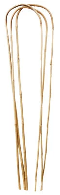 Bamboo U Hoop, 4-foot Plant Support For Vines And Climbing Vegetables