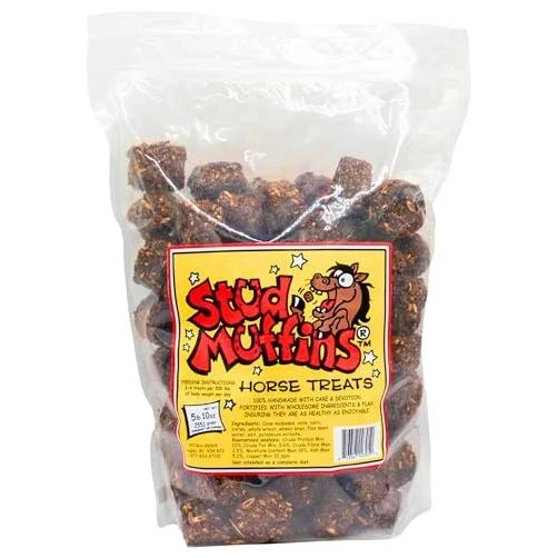 Horse Treats Bag 90 Ounces - 3 Pounds Of Deliciousness