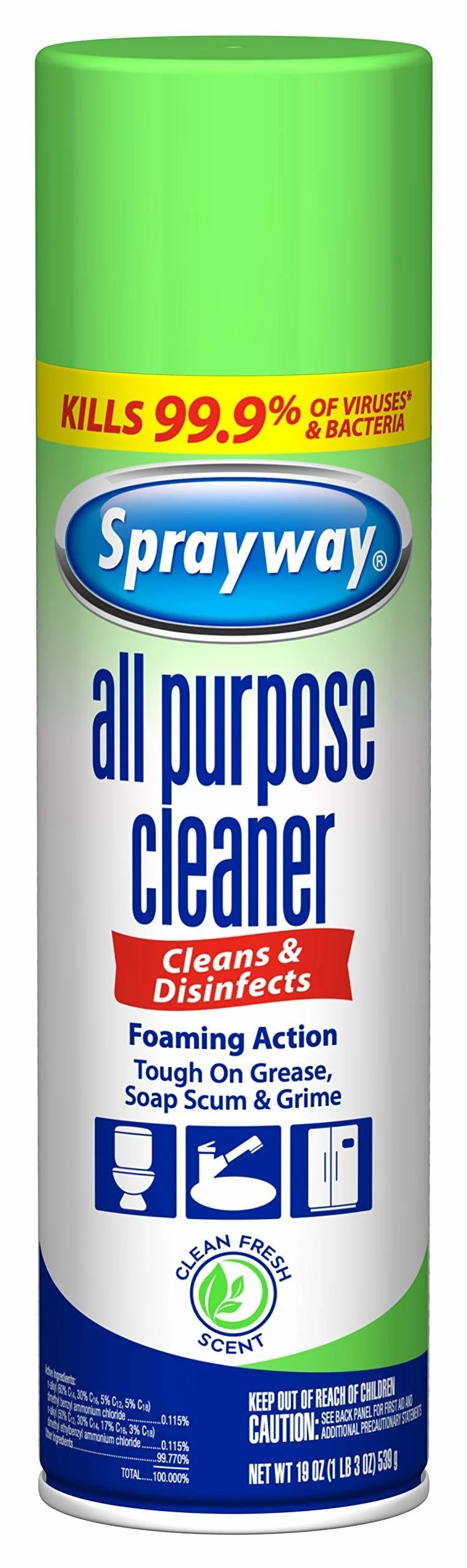 Sprayway All Purpose Disinfectant Cleaner, Foaming Action, 19 Ounce