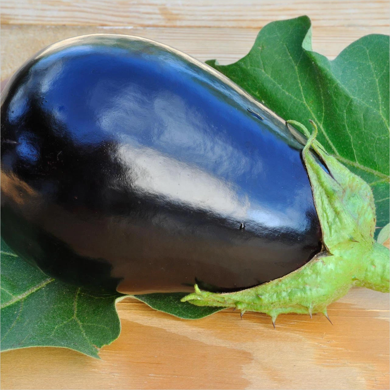 Eggplant-Black Beauty (Organic)