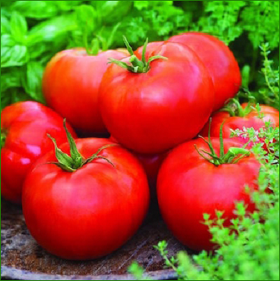 1.19‑Quart Big Boy Tomato Storage Container – BPA‑Free Clear Kitchen Organizer