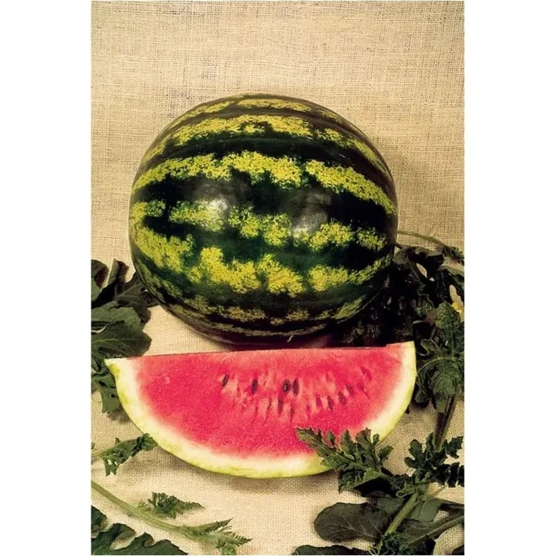 Watermelon‑Crimson Sweet Snack – 19.3 oz Bag