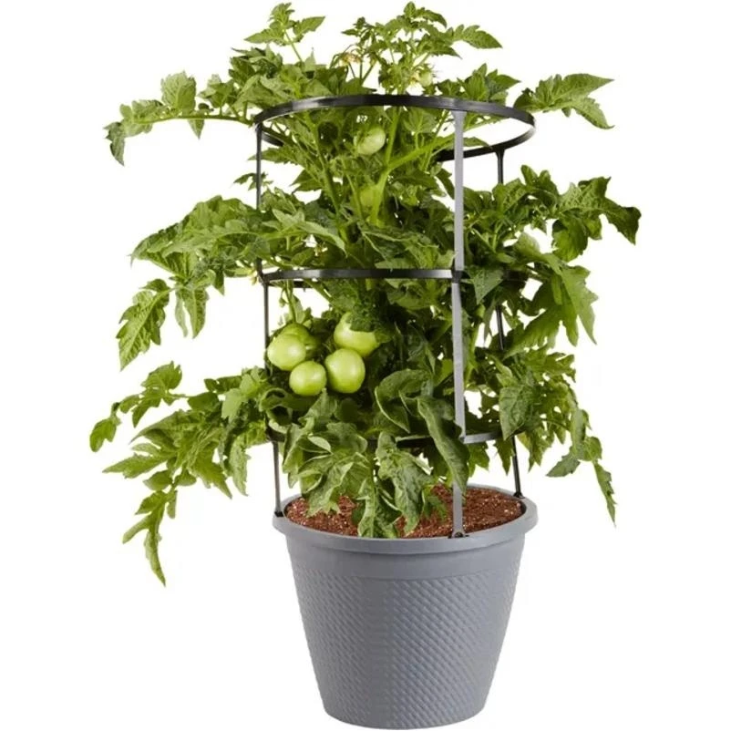 2.5‑Gallon Patio Tomato Planter – Space‑Saving Outdoor Grower