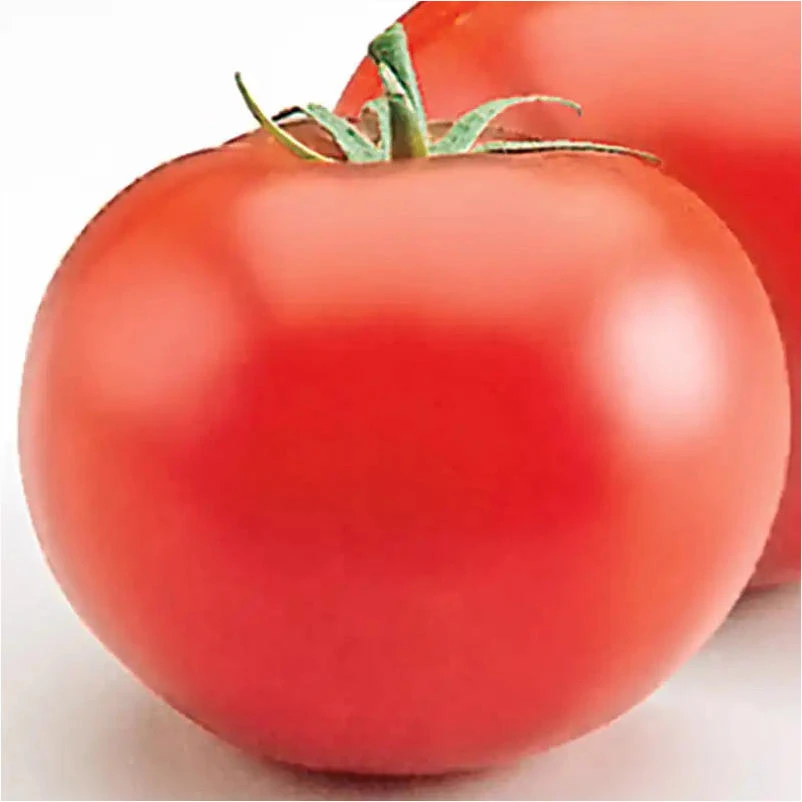 2.32 Qt Tomato Heatmaster – Compact Kitchen Appliance