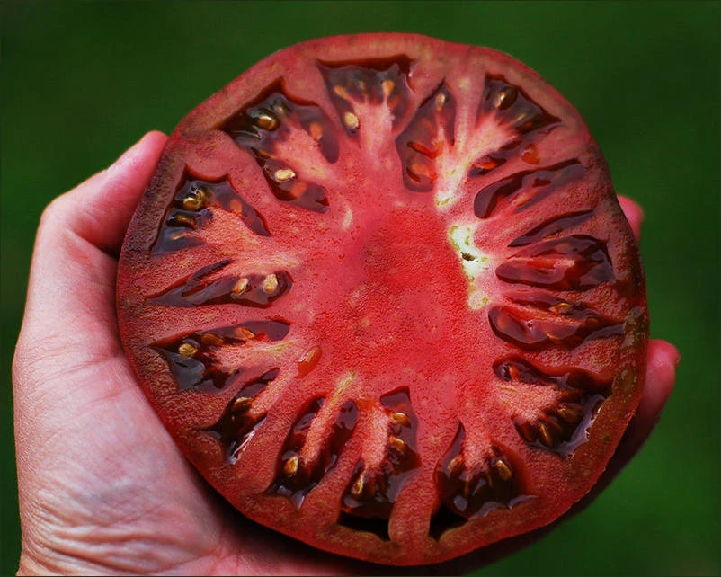 Tomato-Cherokee Purple Heirloom