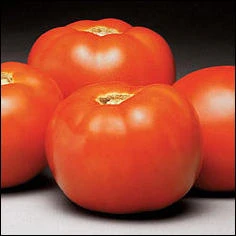 2.32 QT Tomato-Better Bush