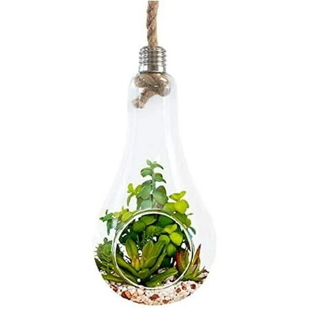 Hanging Terrarium