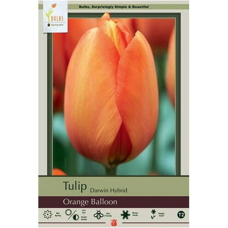 Vibrant Orange Tulip-Shaped Balloon – Party Décor Essential