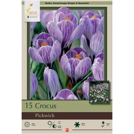 Crocus Pickwick Enamel Tea Kettle – Vintage Floral Design, 1.5 L Capacity