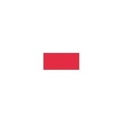 Callig DualTip Red Marker – Precision Dual‑Tip Writing Pen