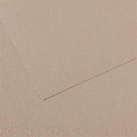 Canson Mi-Tein 122 Flannel Fabric – Soft 19" x 25" Premium Textile for Quilting & Crafts