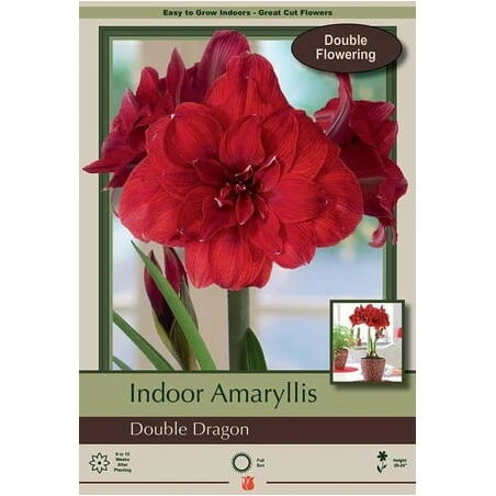 Amaryllis Double Dragon Luxury Scented Candle – Hand‑Poured Soy Wax with Floral‑Dragon Design