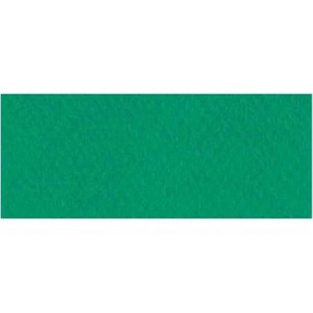 Viridian 19x25 Ceramic Wall Tile – Canson Mi-Tein 575