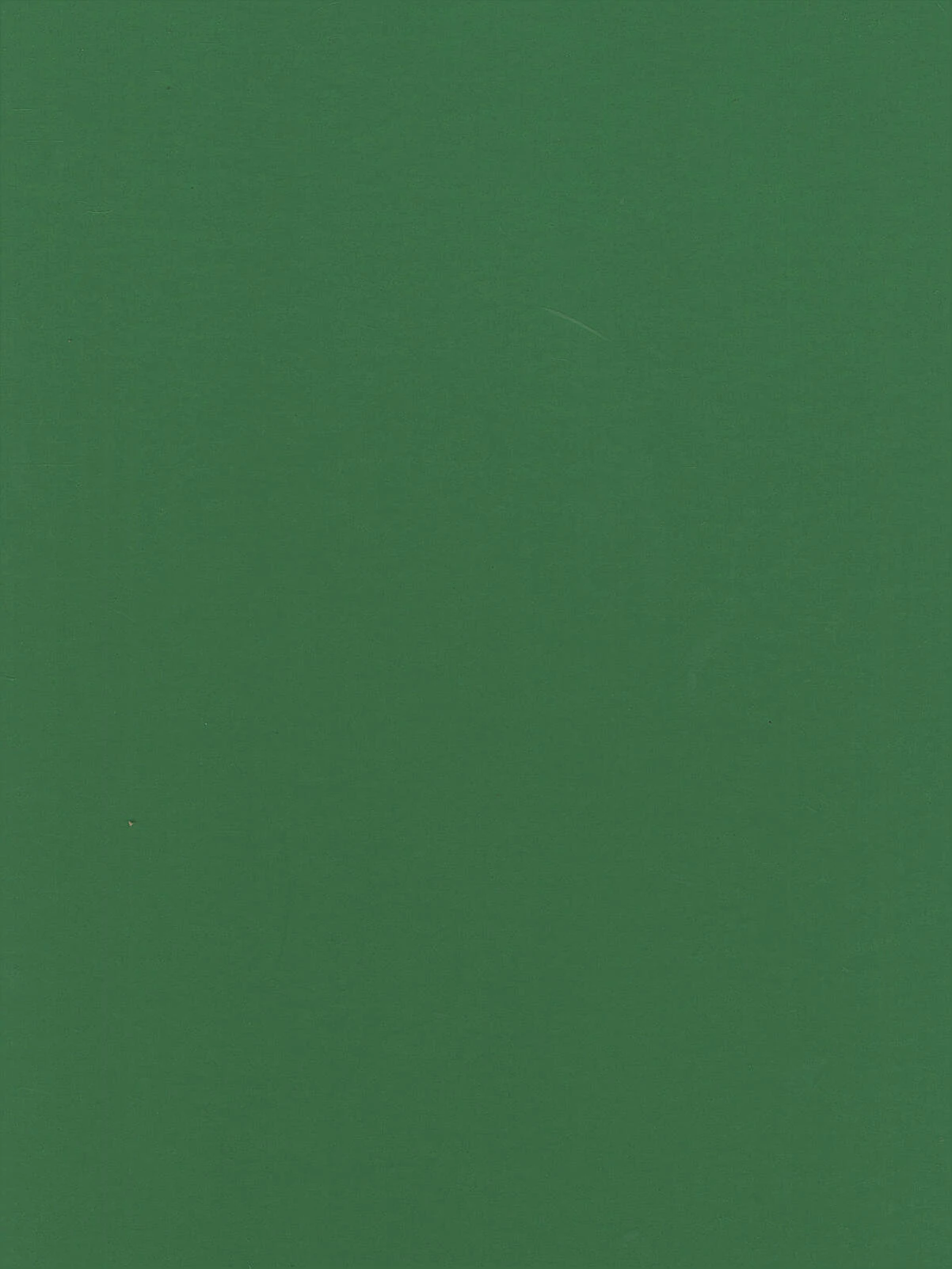 Green Foam Board 20x30 cm – Lightweight Rigid Mounting Sheet