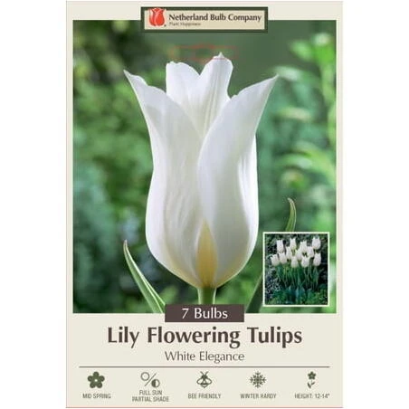 White Elegance Tulip & Lily Flow Decorative Accent