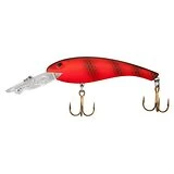 Eagle Claw Western Trout Kit