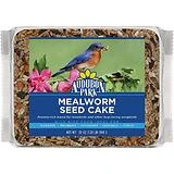 Audubon - Bird Feeder Buildable Wood Paint Kit