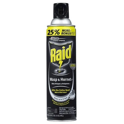 Wasp & Hornet Killer, 17.5 oz. Aerosol