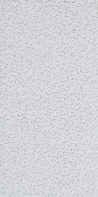 USG Fifth Avenue Ceiling Tile, 2 x 4-Ft., 5/8-In., Mineral Fiber