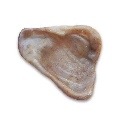 Bacon Nylon Pig Ear Dog Toy, Medium Size For Dogs