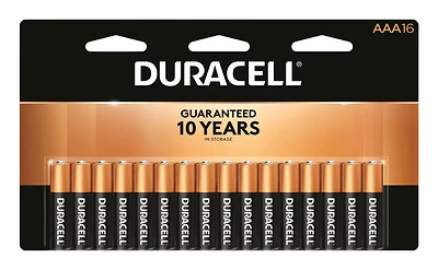 Alkaline Batteries, AAA, 16-Pk.
