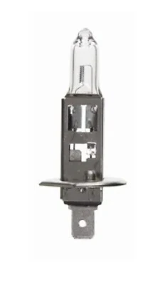 Fog Lamp Replacement Bulb, BP1255/H1, 12V