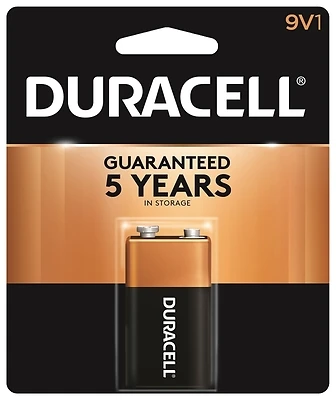 9V Alkaline Battery