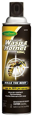 Gt 17.5oz Wasp And Hornet Killer Spray - Non-staining, Long-range Jet Spray