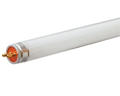 GE Fluorescent Light Bulb, T5, Cool White, 13W, 21 In.