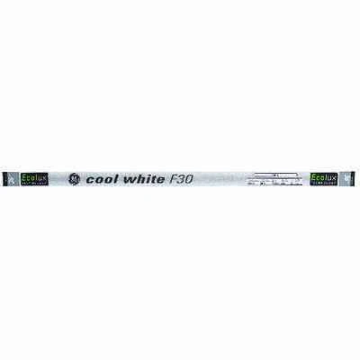 Fluorescent Bulbs, Rapid Start, Cool White, 30 Watt, 36 In.