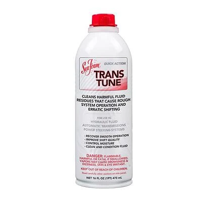 Sea Foam TT-16 TransTune Transmission Parts Cleaner, 16 oz