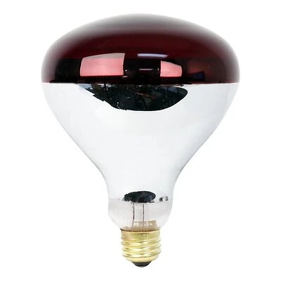 Feit Electric 250R40/R Heat Lamp Bulb, 250W, 120V, Medium Base