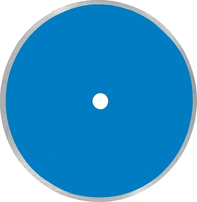 80016 10 Inch Circular Saw Blade With 5/8 Inch Arbor For Tile Cutting
