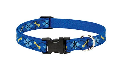 Dog Collar, Adjustable, Dapper Dog, 3/4 x 13 to 22 In.