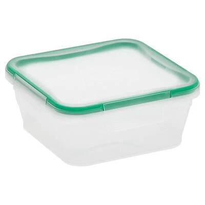 Total Solutions 5.35-cup Airtight Plastic Square Storage Container With Lid