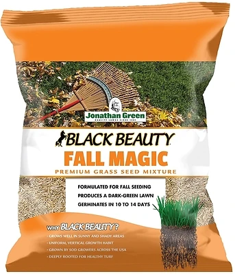 10765 Black Beauty Fall Magic Grass Seed, 3 Lb Bag For Sun And Shade