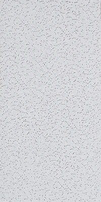 USG 280 Fifth Avenue Series Ceiling Tile, 24×48 In, 5/8 In Thick, White