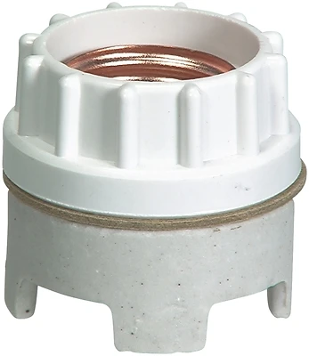 Cooper Wiring Devices 610-box Porcelain Sign Receptacle, 660 W, 250 Vac, Pack Of 10